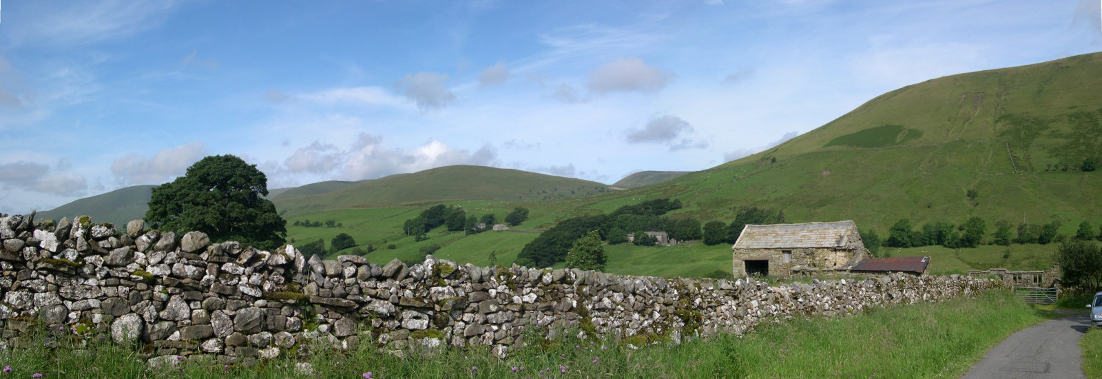 Harter Fell from Dovengill Lane